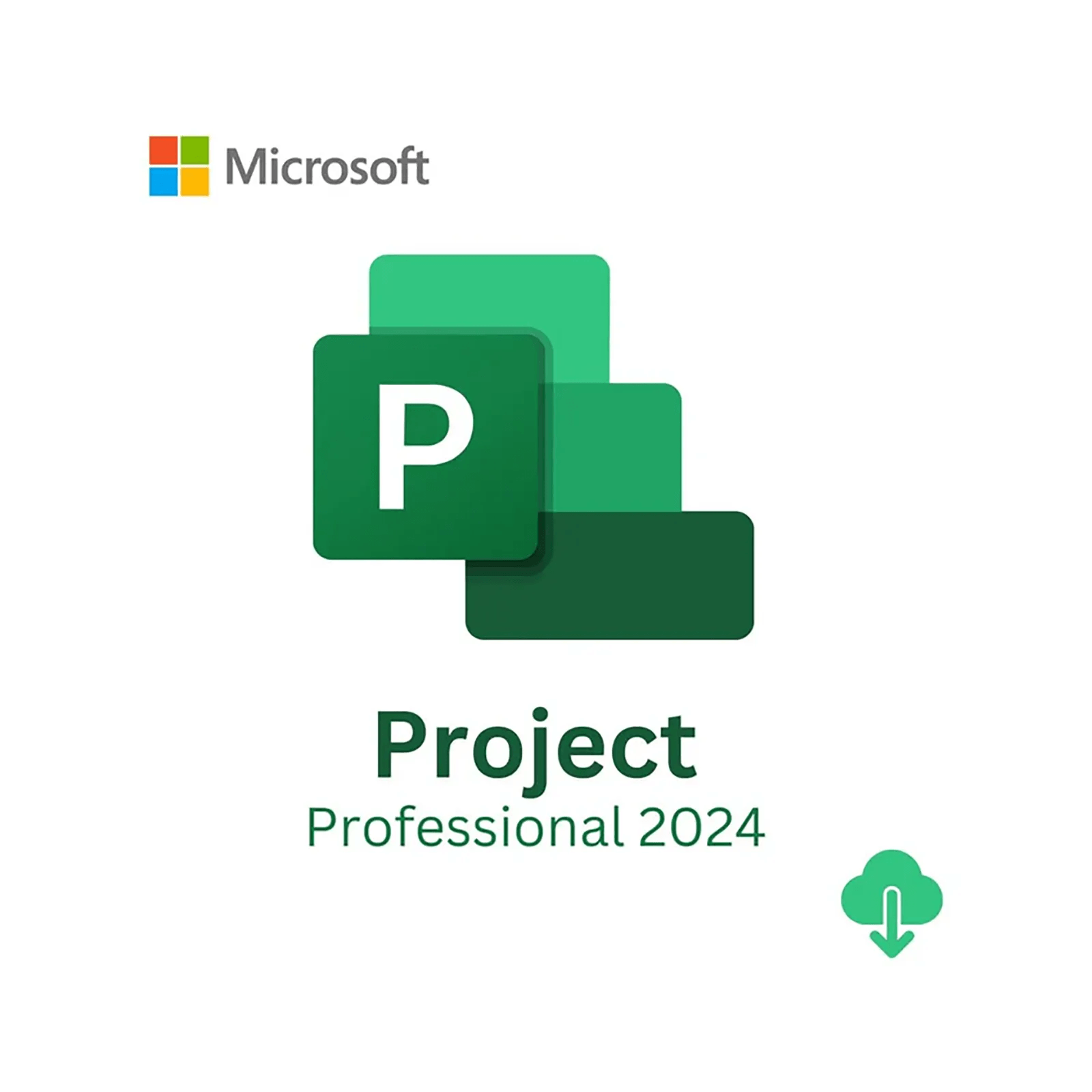 Microsoft Project Pro 2024 EsdMICROSOFTEP2-07001