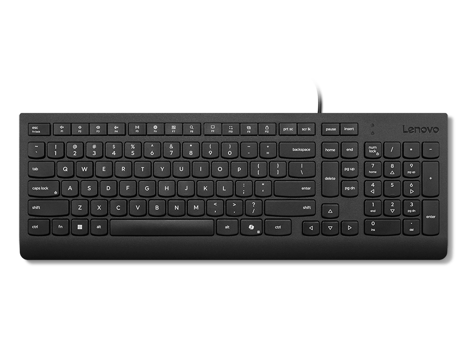Lenovo Essential Wired Keyboard (Black) - La Spanish 171LENOVO4Y41R64657