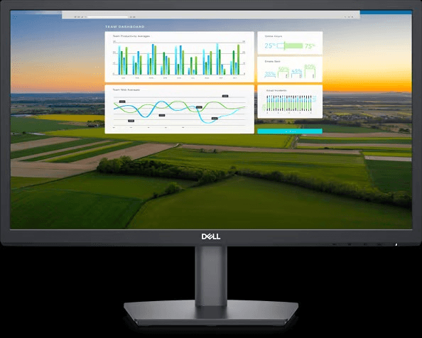 Monitor Dell 22" E2222hsDELL